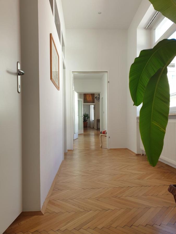 Sunny And Spacious Apartment Near City Centre Viyana Dış mekan fotoğraf